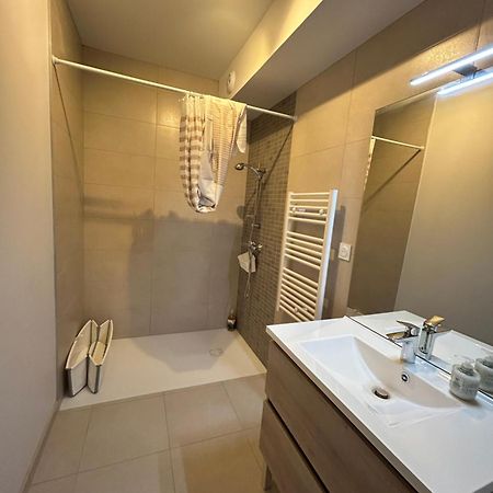 Appartement Avec Jardin Chateauneuf-de-Galaure Eksteriør bilde